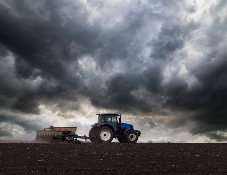 Українські аграрії засіяли 74% озимих культур