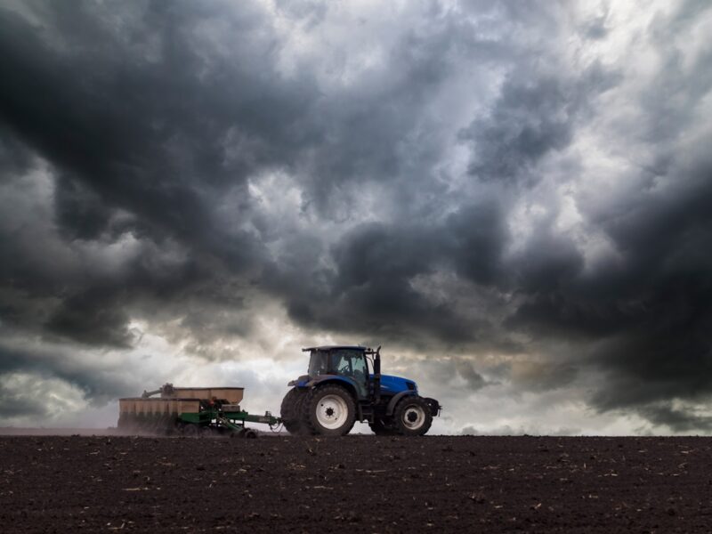 Українські аграрії засіяли 74% озимих культур