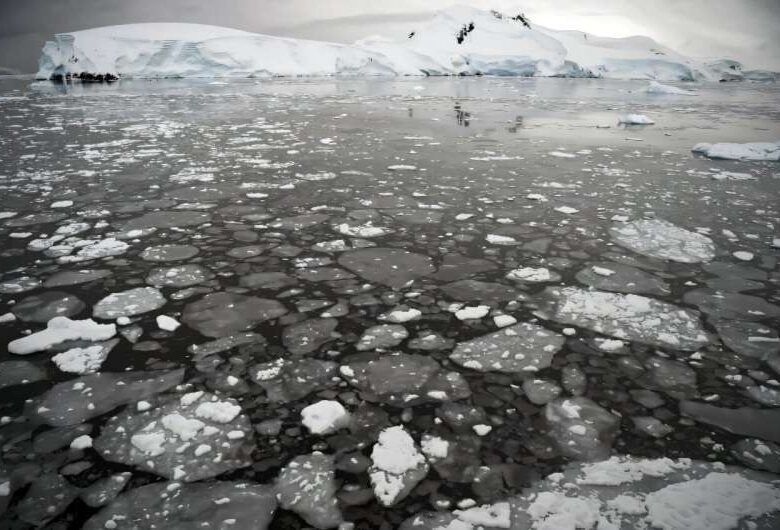 В Антарктиді фіксується майже рекордне танення льоду
