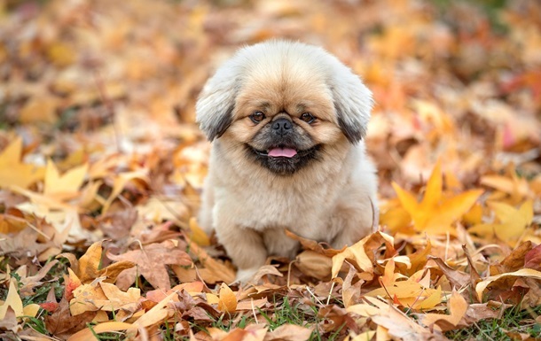 В Україну йде потепління