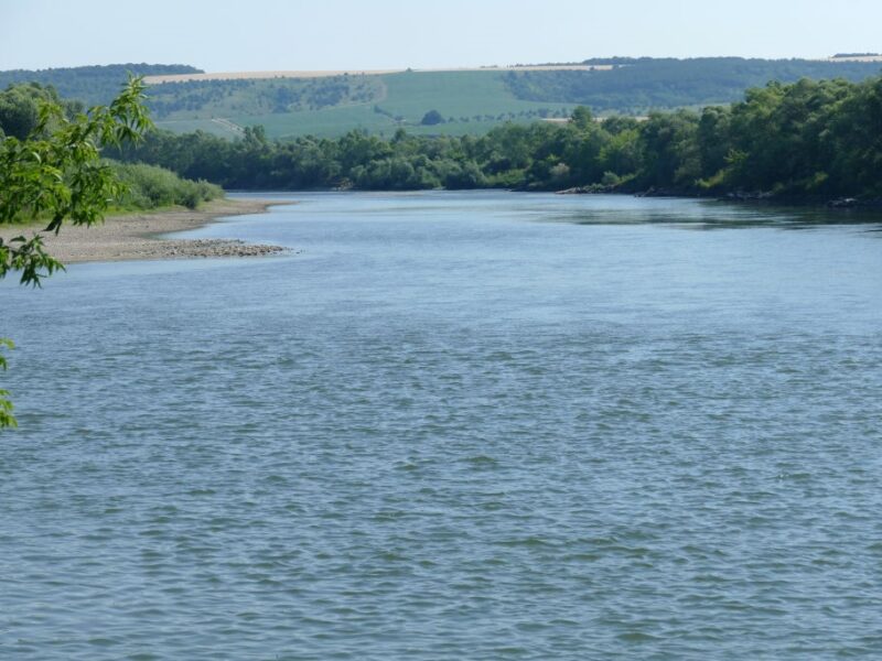 Вчені попередили про загрозливе обміління Дністра