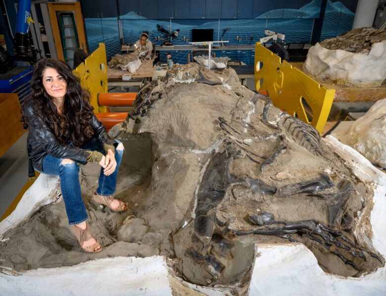 Вчені відкрили новий малий вид тиранозавра