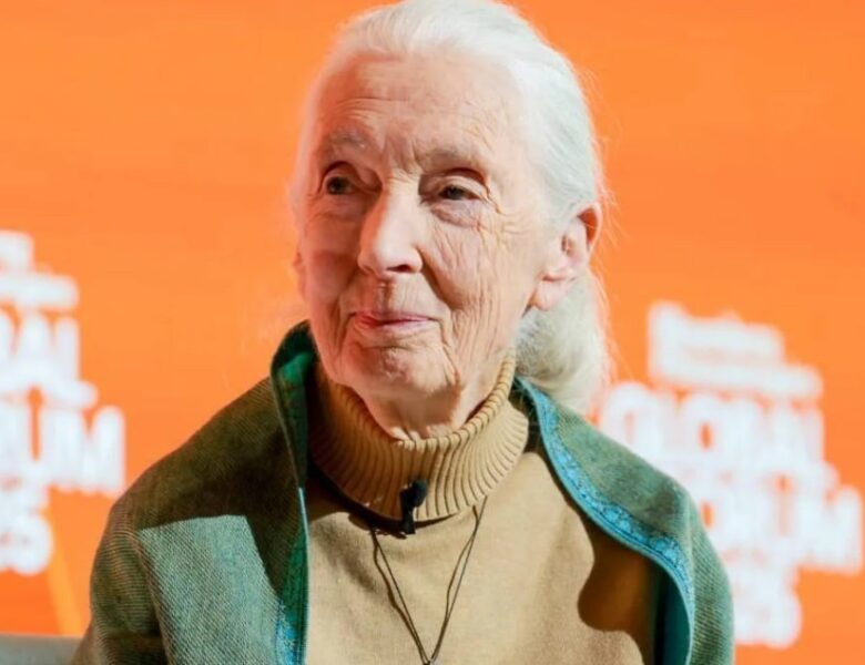 Відправити на іншу планету. Оприлюднено останнє звернення Джейн Гудолл