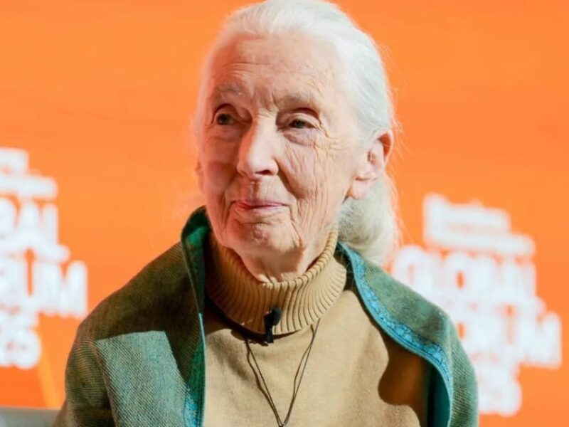 Відправити на іншу планету. Оприлюднено останнє звернення Джейн Гудолл