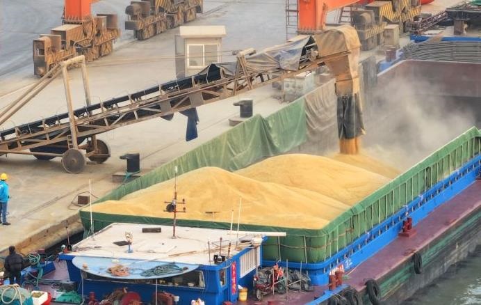 Вивезення мільйонів тонн зерна з України: урядовцю РФ повідомлено підозру