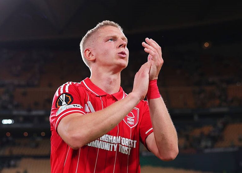 Зінченко – про матч з Ісландією: Буде дуже важлива гра