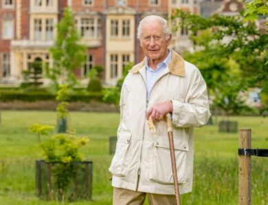 Букінгемський палац оприлюднив новий портрет монарха