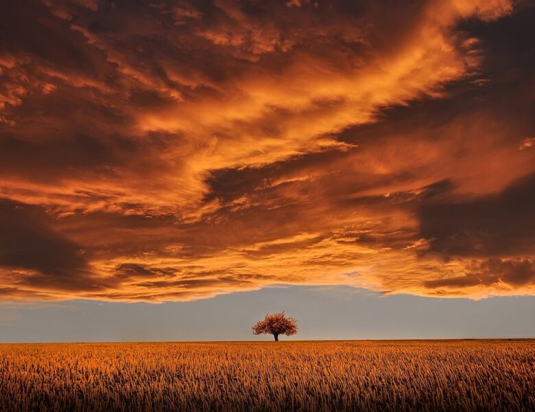 Гороскоп для всіх знаків зодіаку на 11 листопада 2025 року