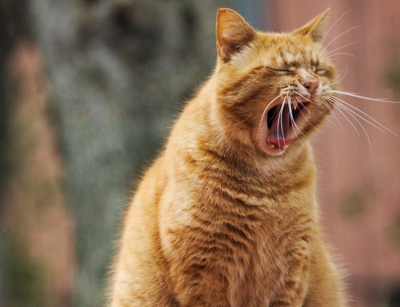 Гороскоп для всіх знаків зодіаку на 18 листопада 2025 року