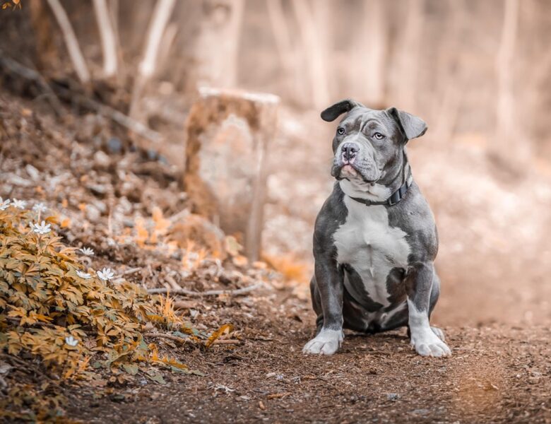 Гороскоп для всіх знаків зодіаку на 20 листопада 2025 року
