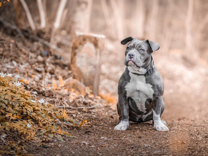 Гороскоп для всіх знаків зодіаку на 20 листопада 2025 року