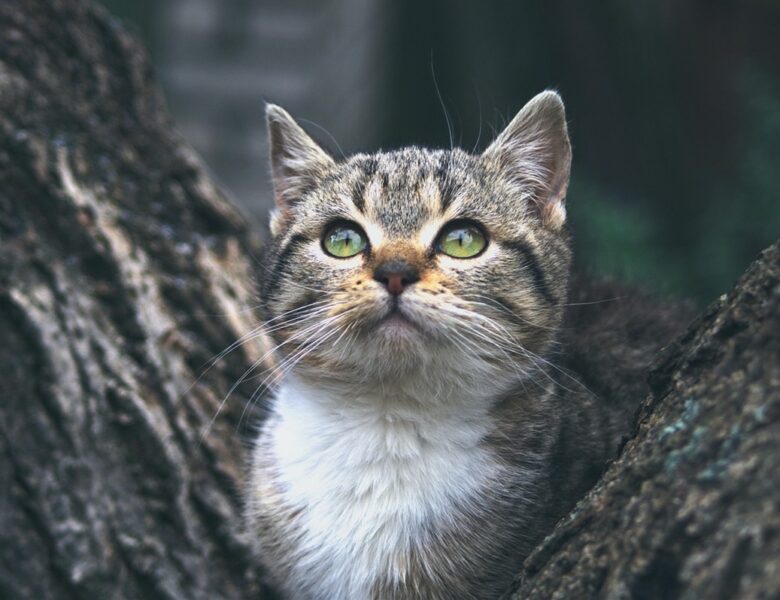 Гороскоп для всіх знаків зодіаку на 25 листопада 2025