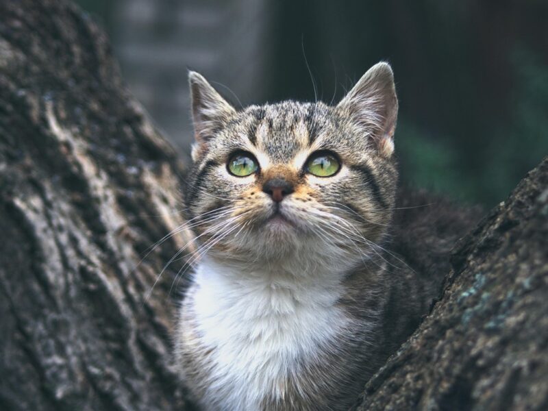 Гороскоп для всіх знаків зодіаку на 25 листопада 2025