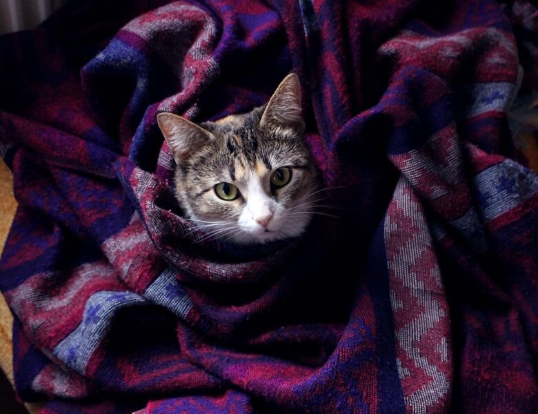 Гороскоп для всіх знаків зодіаку на 27 листопада 2025