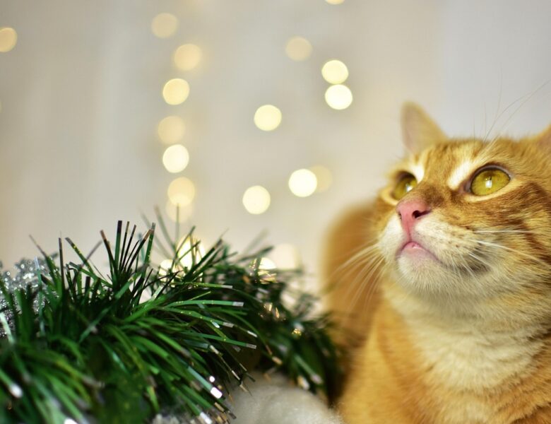 Гороскоп для всіх знаків зодіаку на 28 листопада 2025