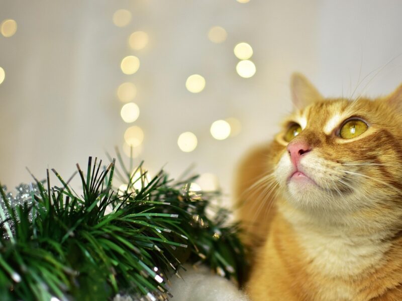 Гороскоп для всіх знаків зодіаку на 28 листопада 2025