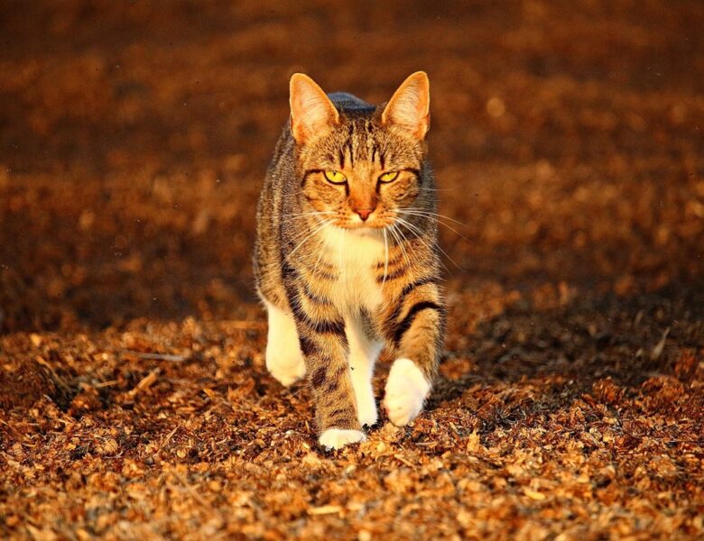 Гороскоп для всіх знаків зодіаку на 7 листопада 2025 року