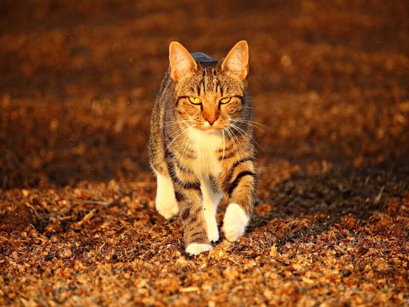 Гороскоп для всіх знаків зодіаку на 7 листопада 2025 року