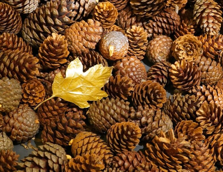 Гороскоп для всіх знаків зодіаку на вихідні 22-23 листопада 2025 року