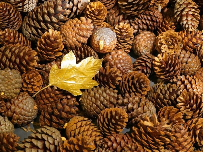 Гороскоп для всіх знаків зодіаку на вихідні 22-23 листопада 2025 року