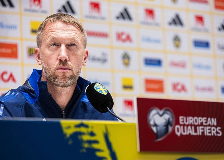 Керманич шведів, що дісталися команді Реброва, говорить про очікування гри