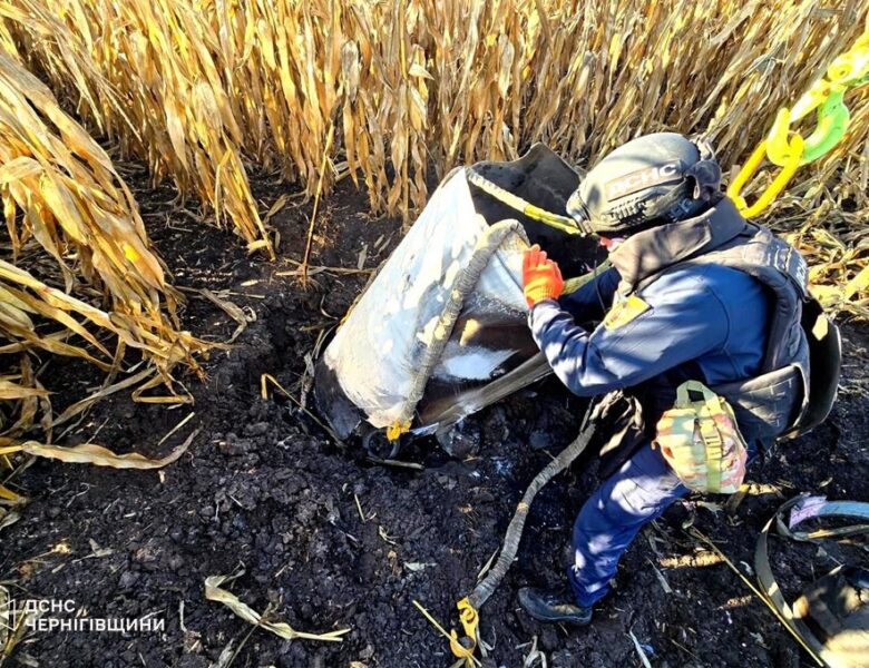 На Чернігівщині виявили частину ракети Іскандер