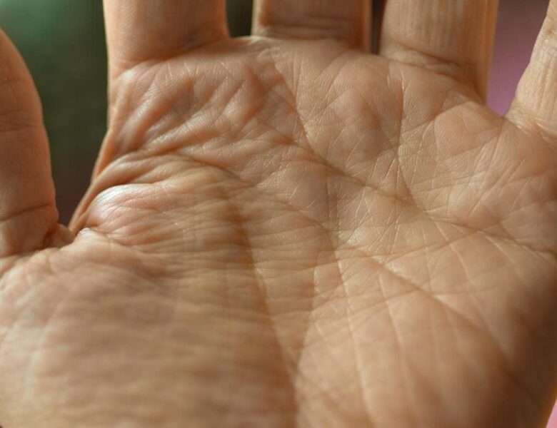 Що приховує ваша долоня: шокуючі факти про лінію життя людини