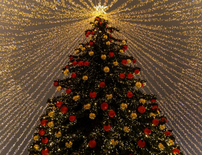 У Києві почали встановлювати головну ялинку країни