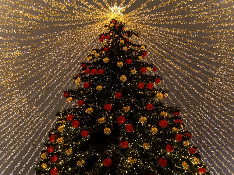 У Києві почали встановлювати головну ялинку країни