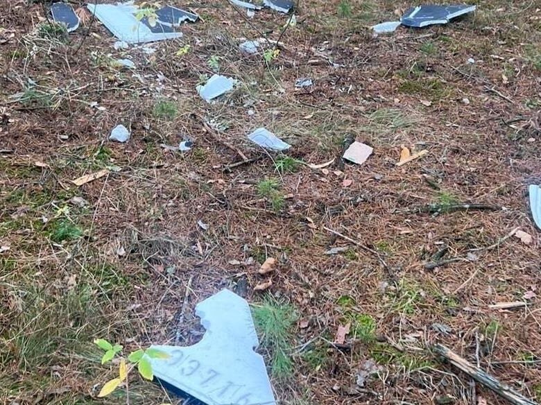 У лісі на Чернігівщині здетонував дрон, поранені двоє підлітків