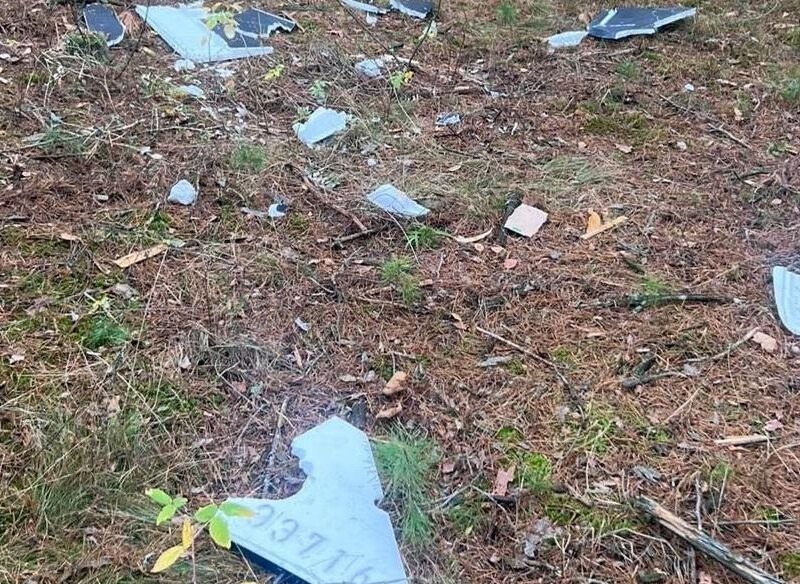 У лісі на Чернігівщині здетонував дрон, поранені двоє підлітків