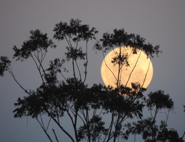 У ніч на 5 листопада небо освітить Бобровий Місяць