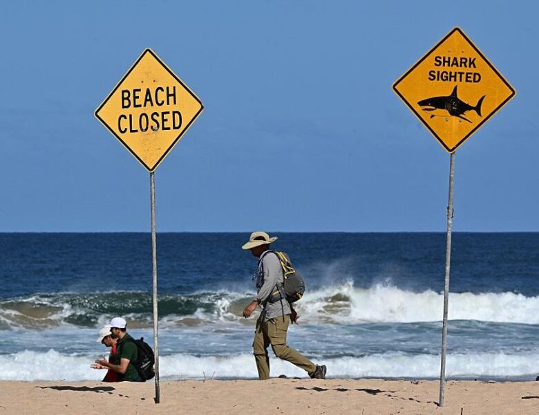 В Австралії акула напала на спортсменів, є жертви