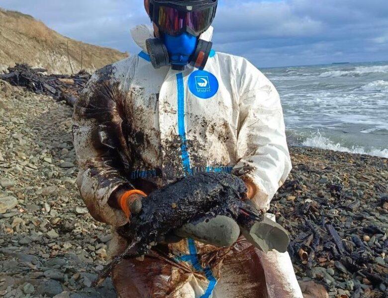 Величезні мазутні плями зафіксували в Керченській протоці – соцмережі