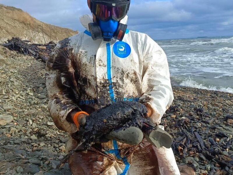 Величезні мазутні плями зафіксували в Керченській протоці – соцмережі
