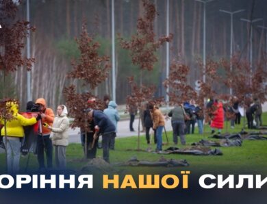 Кожен дуб – історія життя та подвигу полеглого воїна