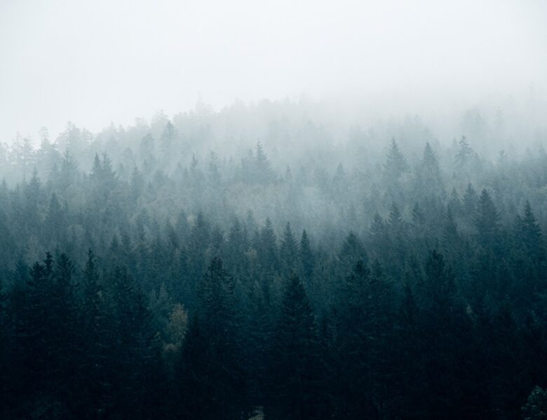 Без опадів, але з туманами: погода на початку тижня