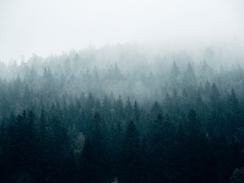 Без опадів, але з туманами: погода на початку тижня