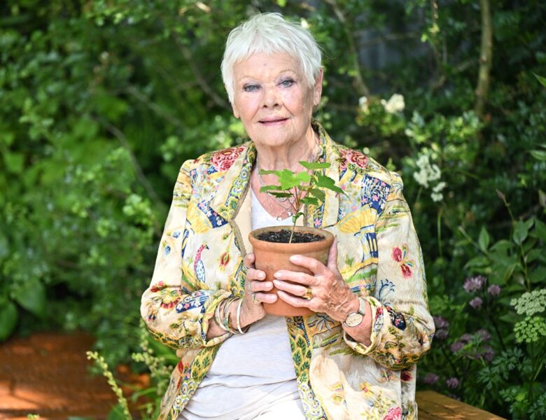 Джуді Денч зізналася, що майже втратила зір через прогресуючу хворобу