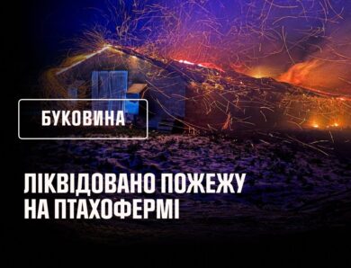 Буковина: ліквідовано пожежу на птахофермі