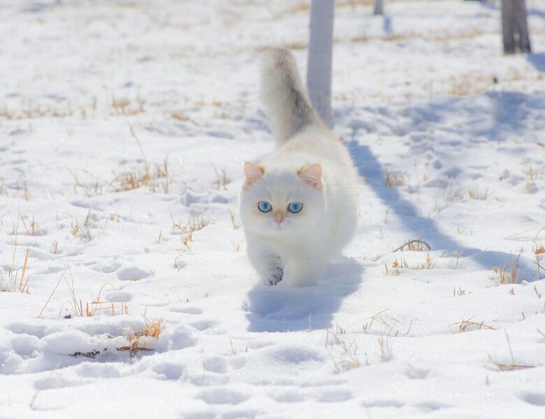 Гороскоп для всіх знаків зодіаку на 11 грудня 2025 року