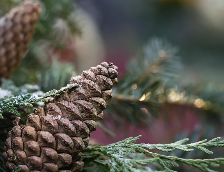 Гороскоп для всіх знаків зодіаку на 19 грудня 2025 року