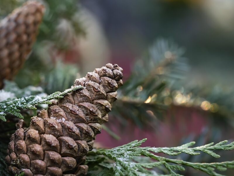 Гороскоп для всіх знаків зодіаку на 19 грудня 2025 року