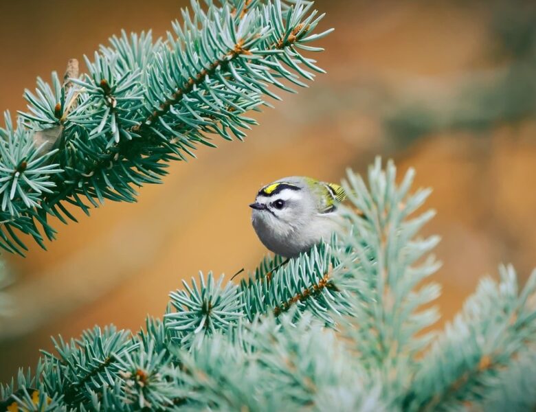 Гороскоп для всіх знаків зодіаку на 4 грудня 2025 року