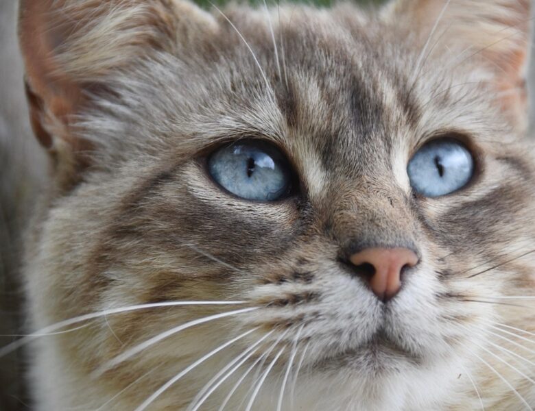 Гороскоп для всіх знаків зодіаку на перші вихідні грудня 2025 року