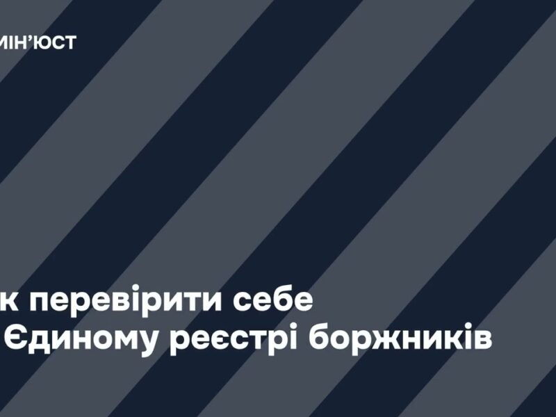 Як здійснити перевірку в Єдиному реєстрі боржників