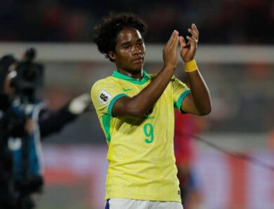 Ліон офіційно підтвердив трансфер Ендріка