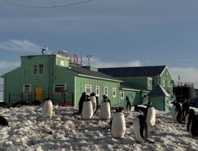 Метеорологи на Вернадському зафіксували кліматичну аномалію
