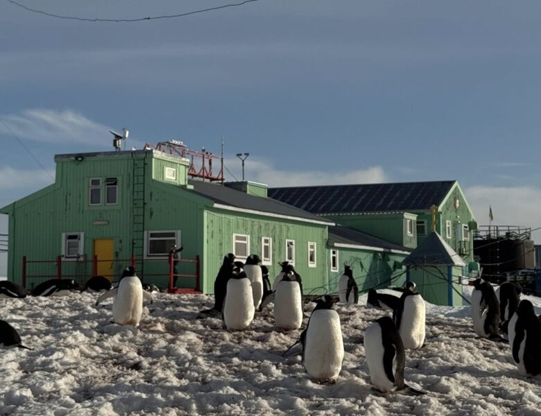 Метеорологи на Вернадському зафіксували кліматичну аномалію