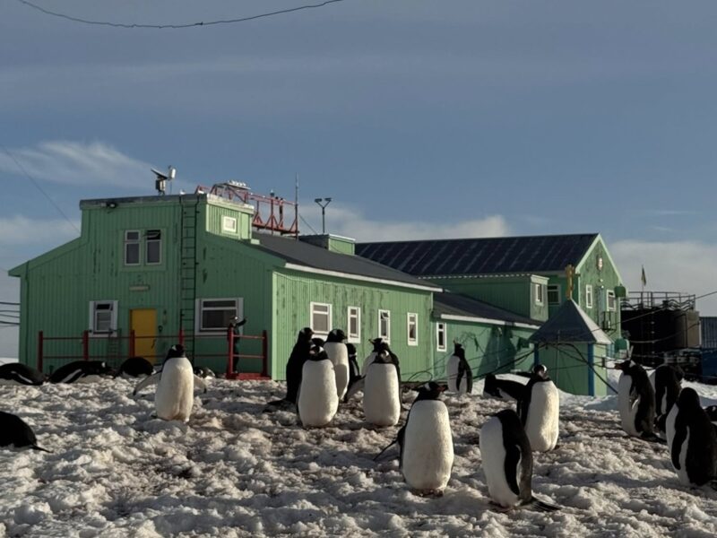 Метеорологи на Вернадському зафіксували кліматичну аномалію